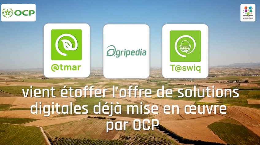 OCP lance la plateforme T@swiq pour connecter les agriculteurs à un marché plus large