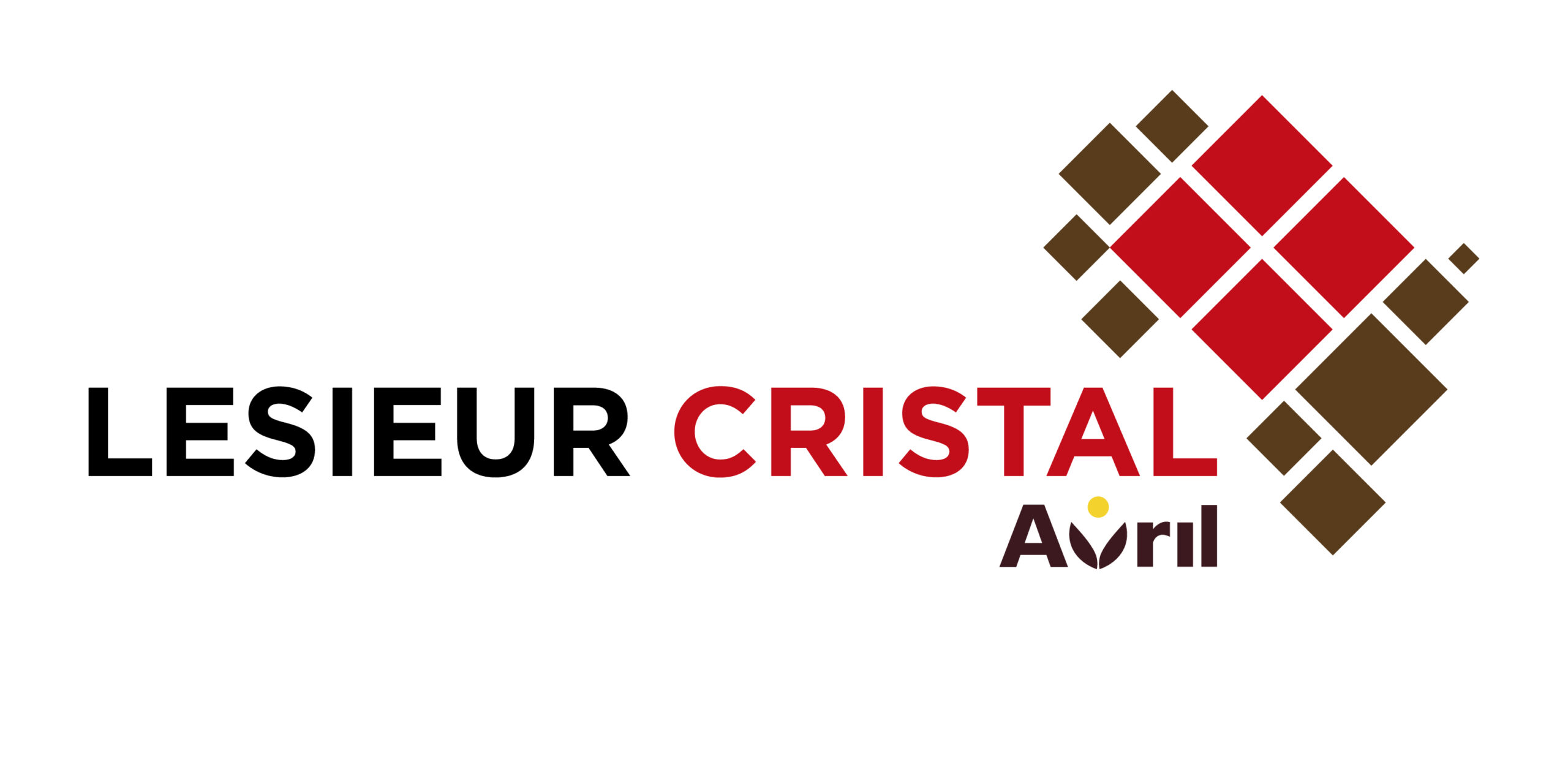 nouvelle identité visuelle