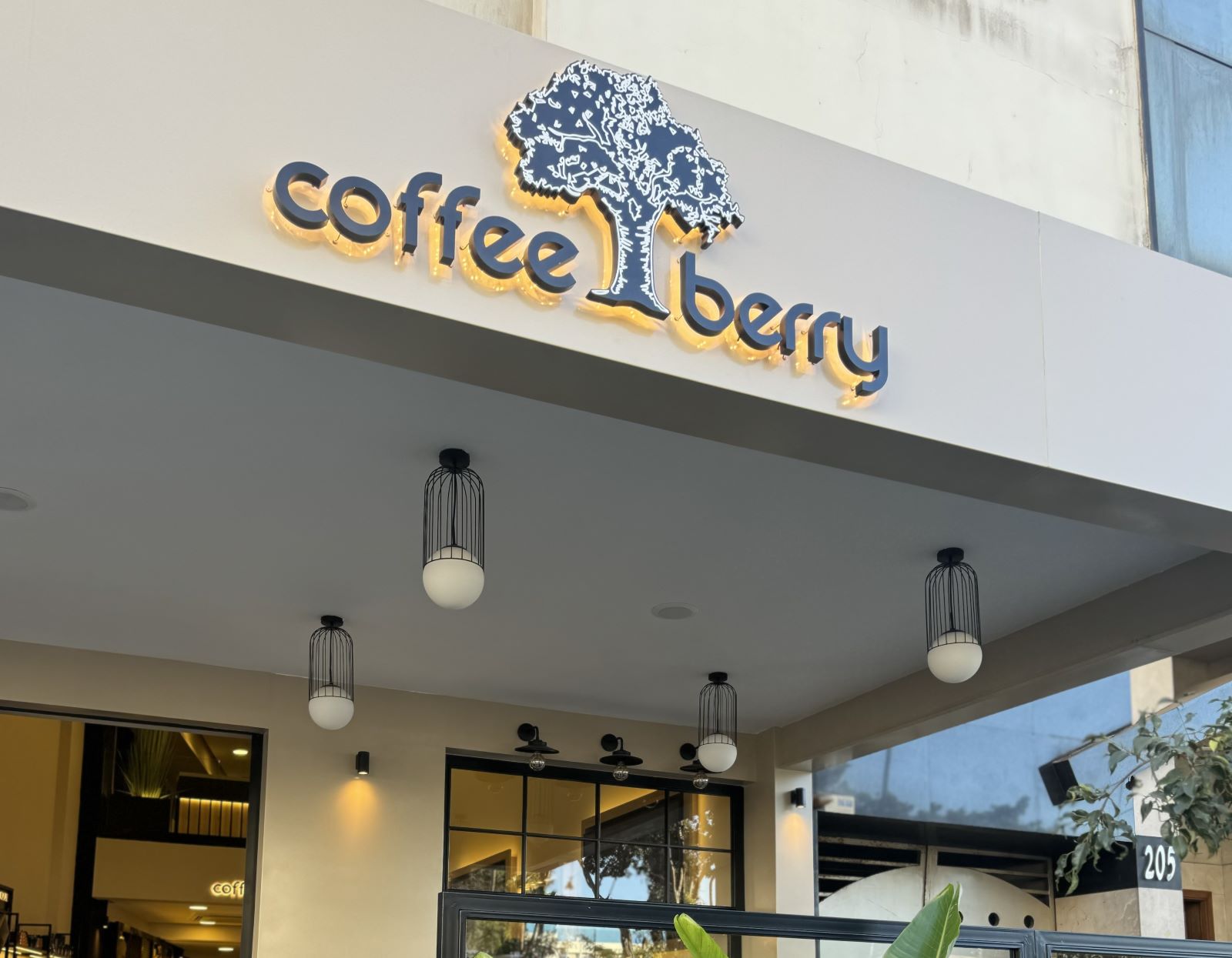 Coffee Berry