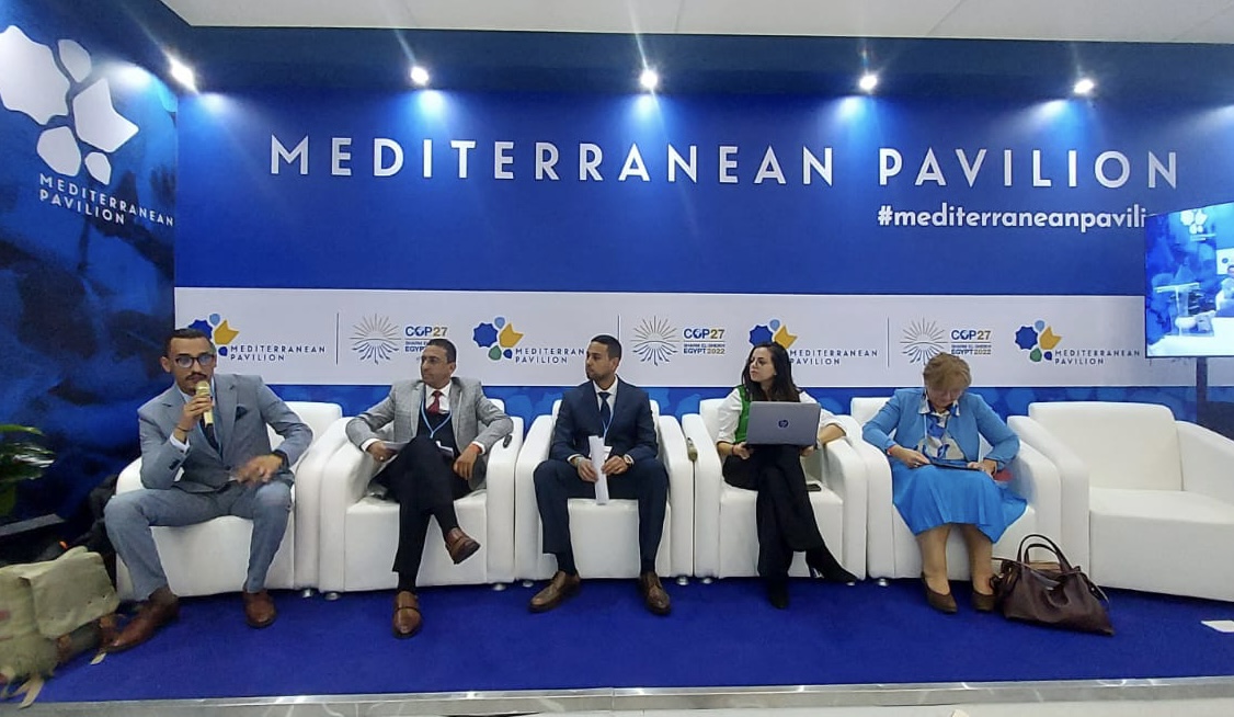 شركة تنمية السعيدية