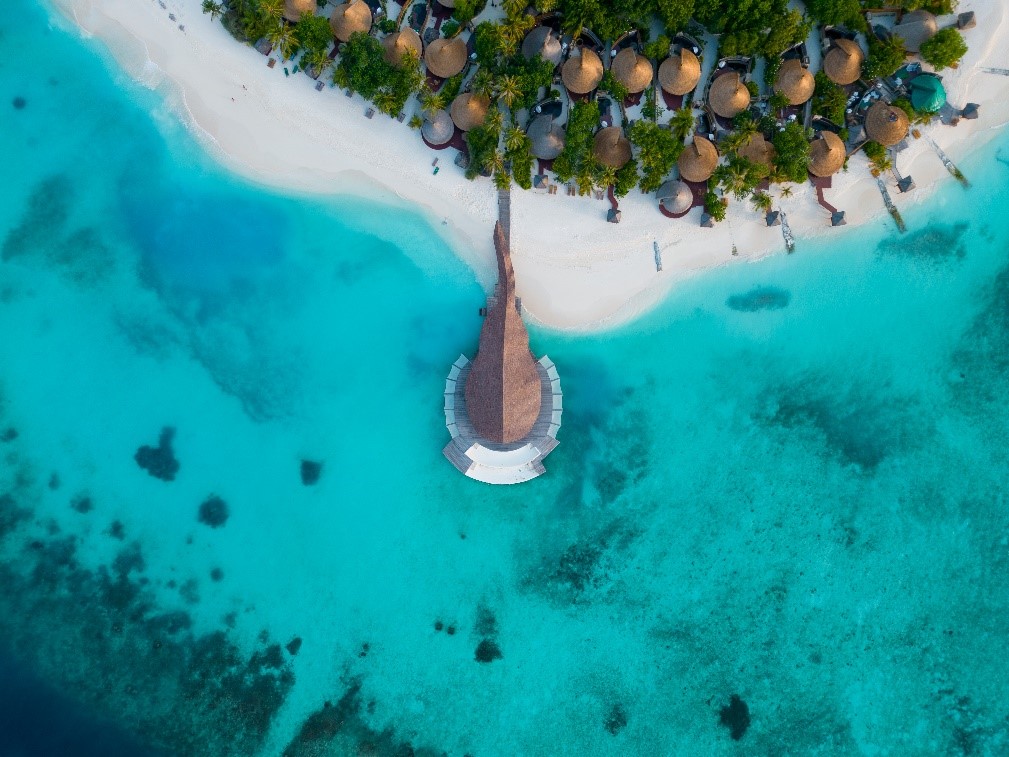 منتجع بانيان تري