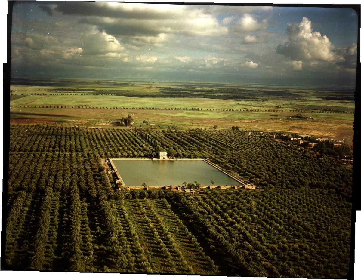 زهرية مراكش