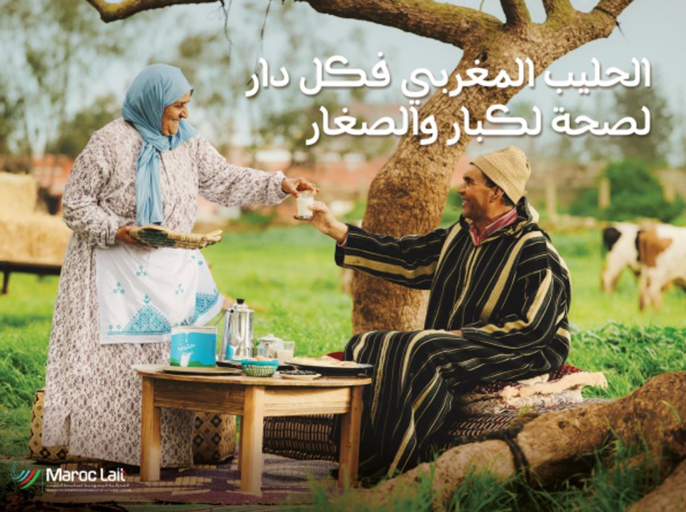 حملة فوائد الحليب المغرب